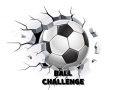 게임 Ball Challenge