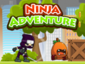 게임 Ninja Adventure