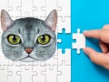 게임 Abyssinian Puzzle Challenge