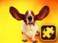 게임 Funny Dogs Puzzle