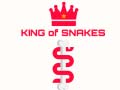 게임 King Of Snakes