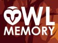 게임 Owl Memory