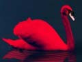 게임 Love Birds Puzzle