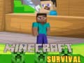 게임 Minecraft Survival