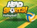 게임 Head Sports Volleyball