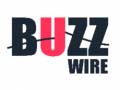 게임 Buzz Wire