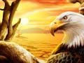 게임 Eagle