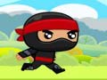 게임 Ninja
