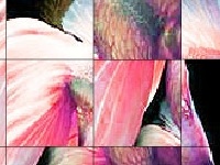 게임 Pinky fish