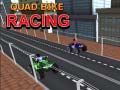 게임 Quad Bike Racing