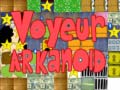 게임 Voyeur arkanoid