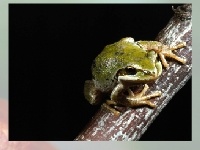 게임 Choose a puzzle 2