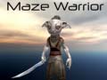 게임 Maze Warrior