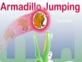 게임 Armadillo Jumping