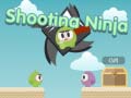 게임 Shooting Ninja