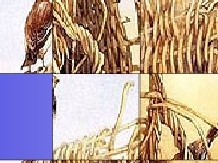 게임 Birds in the bush