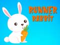 게임 Runner Rabbit