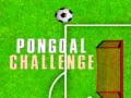 게임 PonGoal Challenge