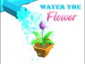 게임 Water The Flower