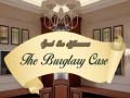 게임 Spot The Differences The Burglary Case