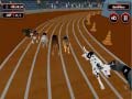 게임 Crazyl Dog Racing Fever