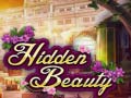 게임 Hidden Beauty