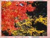 게임 Choose a puzzle 3