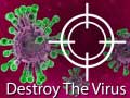 게임 Destroy The Virus