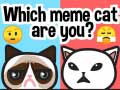 게임 Which Meme Cat Are You?