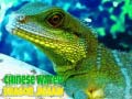 게임 Chinese Water Dragon Jigsaw