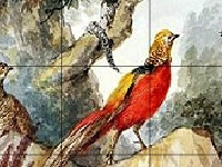 게임 Birds in the wood