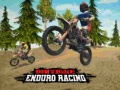 게임 Dirt Bike Enduro Racing