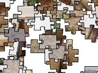 게임 Dromedary camel