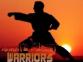 게임 Karate Sunset Warriors