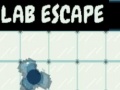 게임 Lab Escape