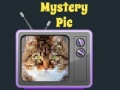 게임 Mystery Pic