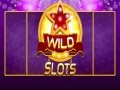 게임 Wild Slot