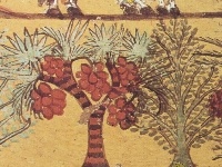 게임 Mummy revenge