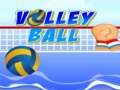 게임 Volley ball