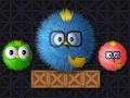 게임 Where Is My Ruffled Bird