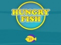 게임 Hungry Fish