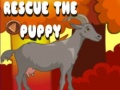 게임 Rescue The Puppy