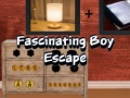 게임 Fascinating Boy Escape