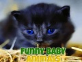 게임 Funny Baby Animals