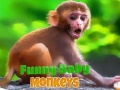 게임 Funny Baby Monkey