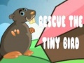 게임 Rescue The Tiny Bird