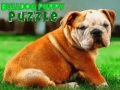 게임 Bulldog Puppy Puzzle