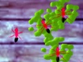 게임 Smash Ants
