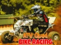 게임 ATV Quad Bike Racing
