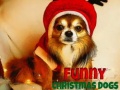 게임 Funny Christmas Dogs